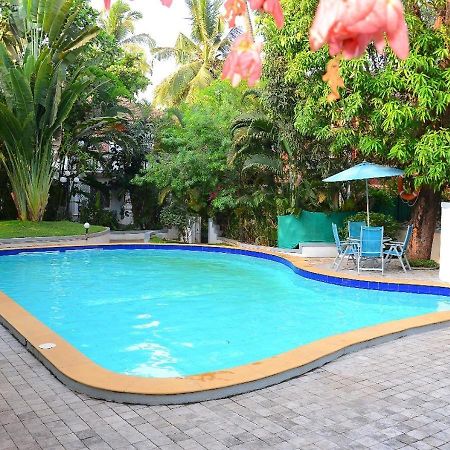 Villa Samaara3 Condolim Goa 500Mts From Beach Кандолим Экстерьер фото